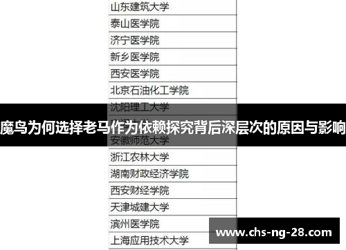 魔鸟为何选择老马作为依赖探究背后深层次的原因与影响