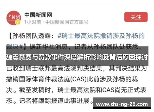 魏震禁赛与罚款事件深度解析影响及背后原因探讨