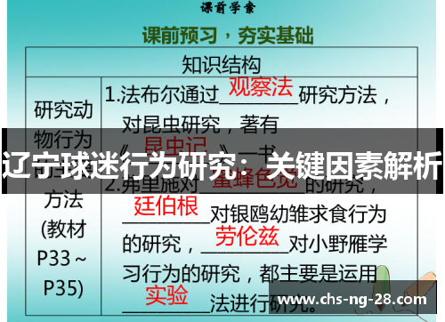 辽宁球迷行为研究:关键因素解析 辽宁球迷行为研究:关键因素解析