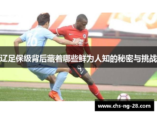 辽足保级背后藏着哪些鲜为人知的秘密与挑战