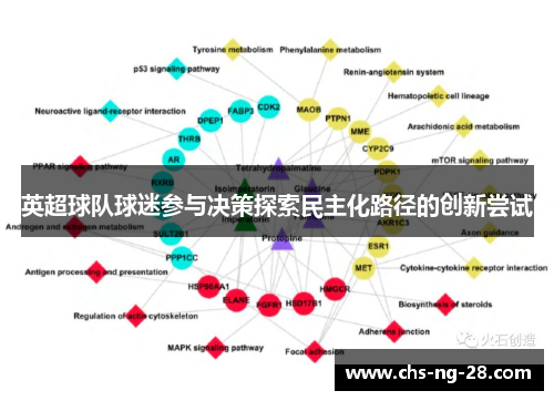 英超球队球迷参与决策探索民主化路径的创新尝试 英超球队球迷参与决策探索民主化路径的创新尝试