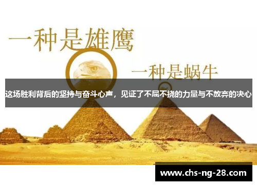 这场胜利背后的坚持与奋斗心声，见证了不屈不挠的力量与不放弃的决心