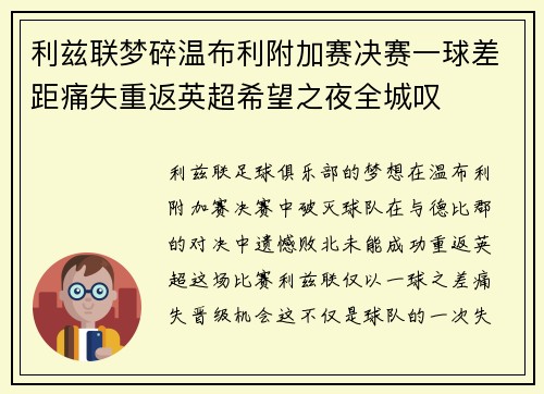 利兹联梦碎温布利附加赛决赛一球差距痛失重返英超希望之夜全城叹 利兹联梦碎温布利附加赛决赛一球差距痛失重返英超希望之夜全城叹